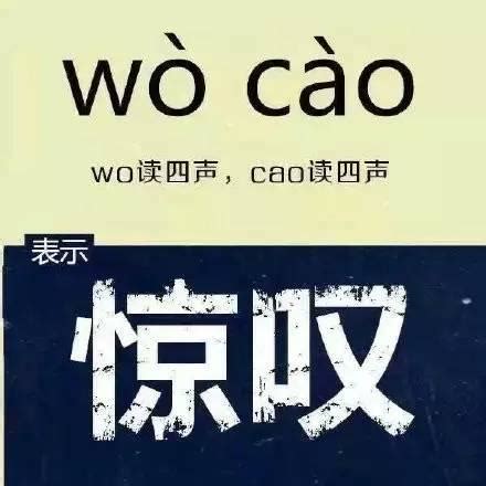 卧槽是什麼意思|我們平常說的「臥槽」到底是什麼意思？看完不。